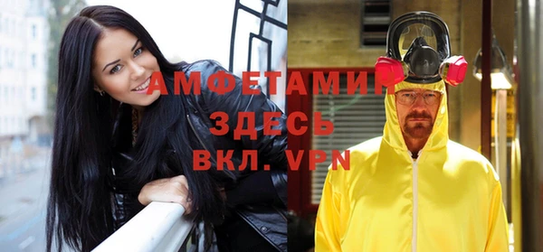 прущие грибы Кинешма