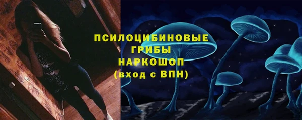 индика Козловка