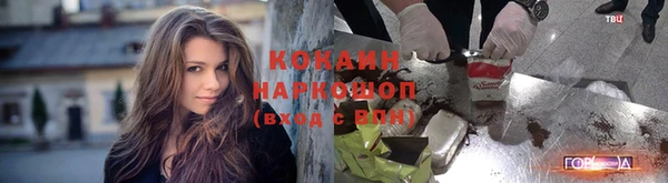 индика Козловка