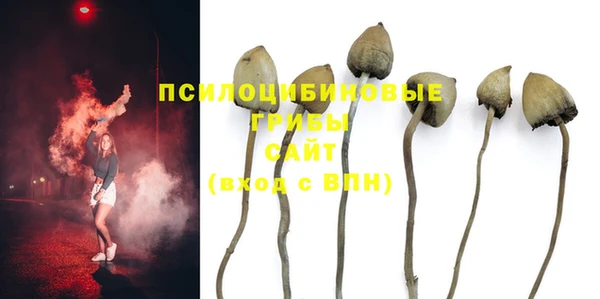не бодяженный Новочеркасск