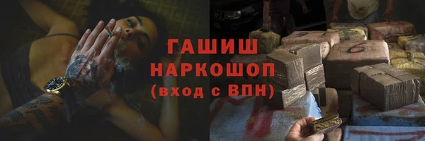молекула духа Козельск