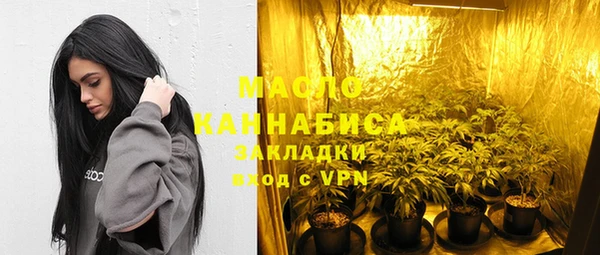 молекула духа Козельск