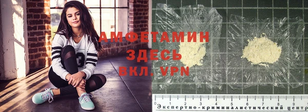 индика Козловка