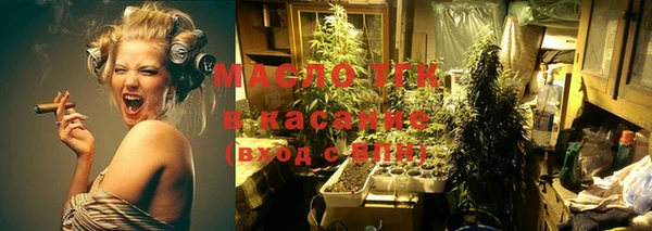 индика Козловка