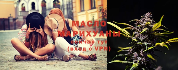 индика Козловка