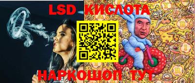 дживик Можга