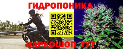 соль ск Моздок