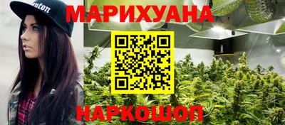 дживик Можга