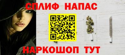 дживик Можга