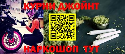 дживик Можга