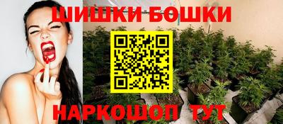соль ск Моздок