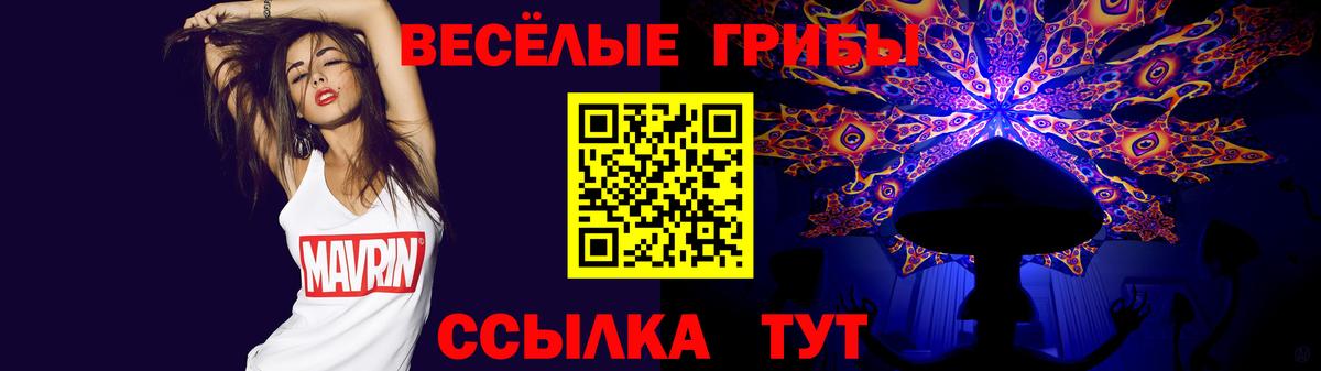 Галлюциногенные грибы Cubensis Кондопога